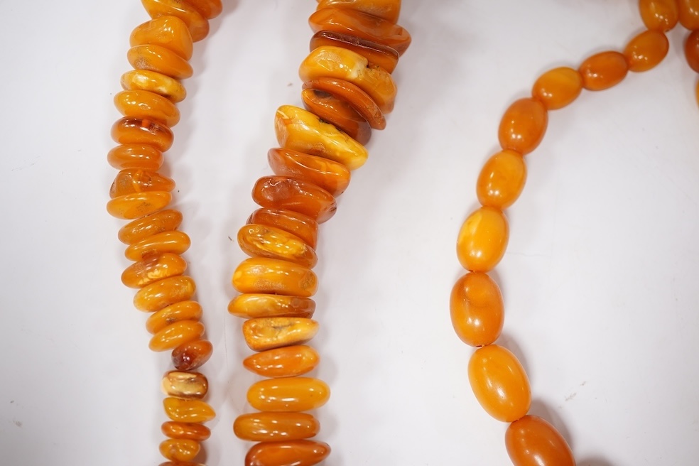 Three assorted amber necklaces including a single strand graduated oval bead necklace, 40cm, gross weight 37 grams, the other two necklaces gross weight 240 grams. Condition - poor to fair